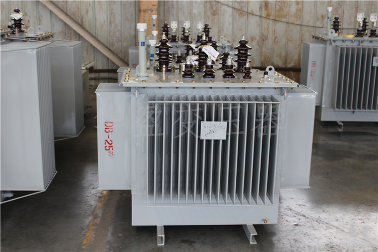 锡林郭勒S20-800kVA/10kV/0.4kV变压器